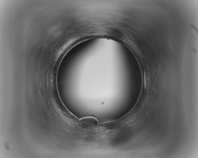 X0000099400483200805151708