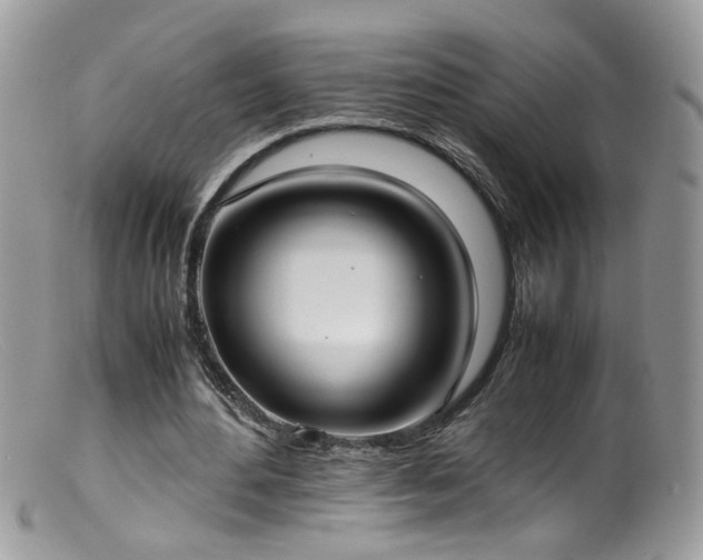 X0000099400484200805151708