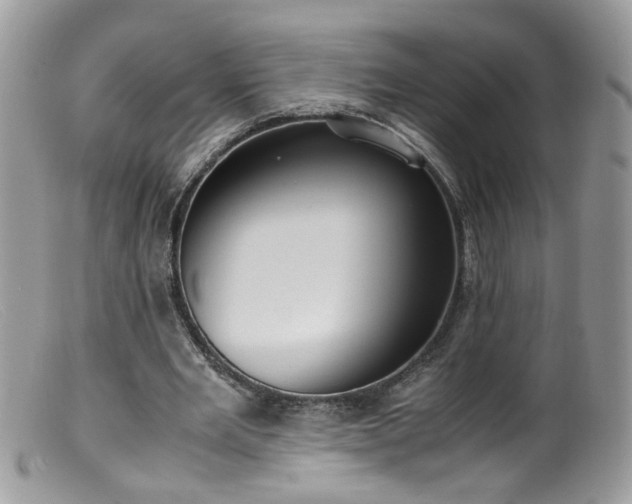 X0000099400485200805151708