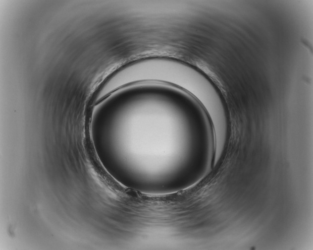 X0000099400486200805151708