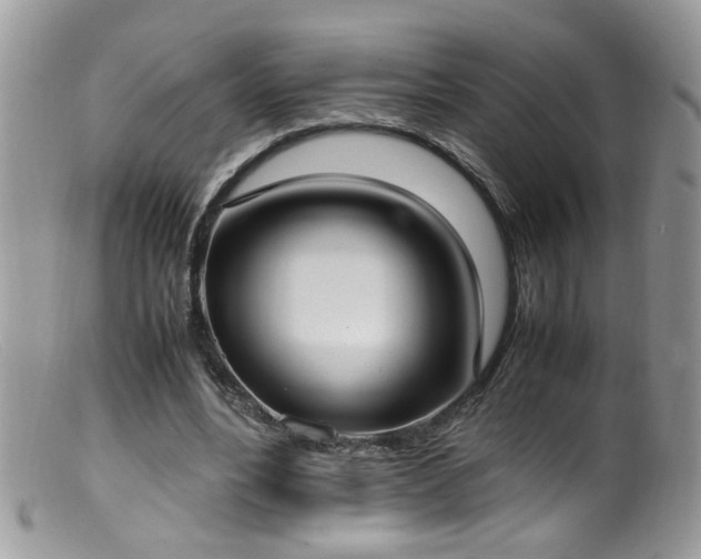 X0000099400488200805151708