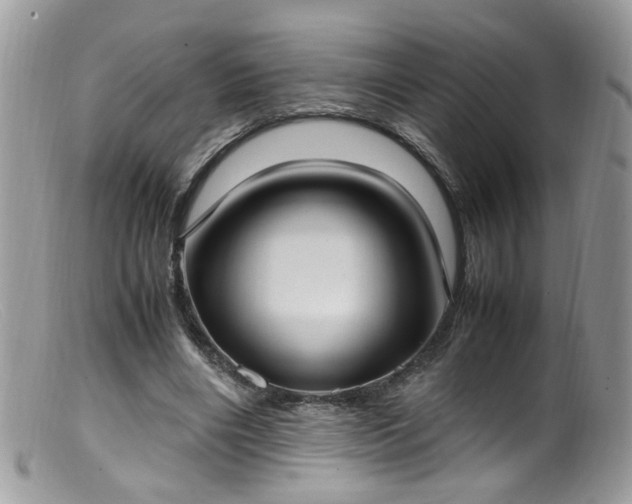 X0000099400490200805151708