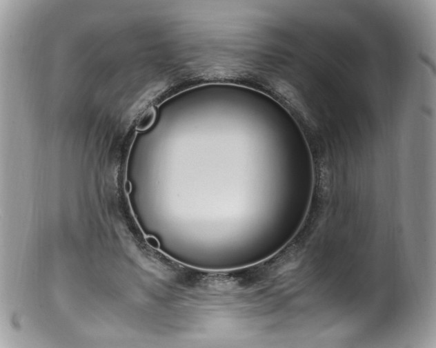 X0000099400491200805151708