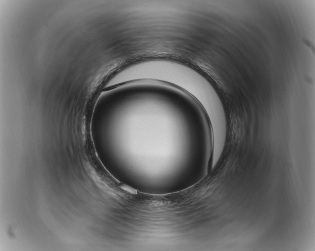 X0000099400494200805151708