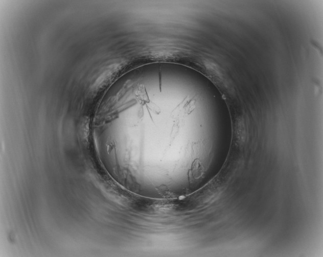 X0000099400495200805151708