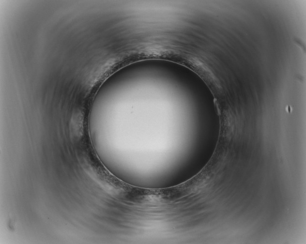 X0000099400496200805151708