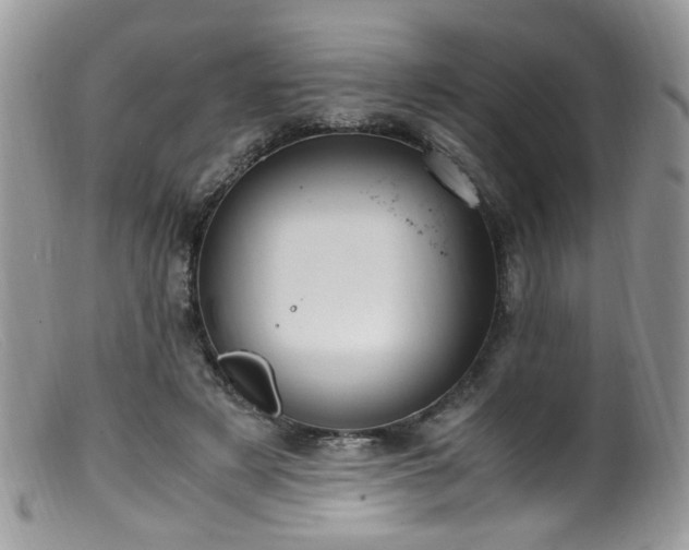 X0000099400497200805151708