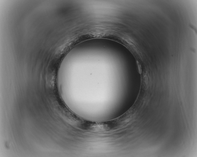 X0000099400499200805151708