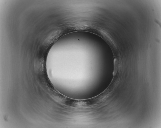 X0000099400501200805151708