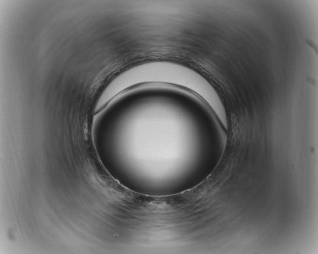 X0000099400502200805151708