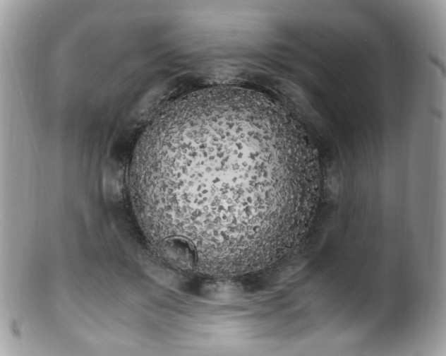 X0000099400503200805151708