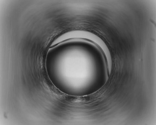 X0000099400504200805151708