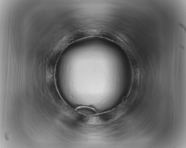 X0000099400507200805151708