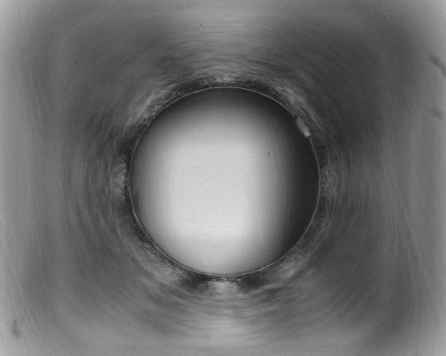 X0000099400509200805151708