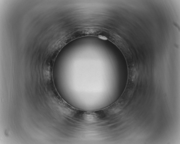 X0000099400510200805151708