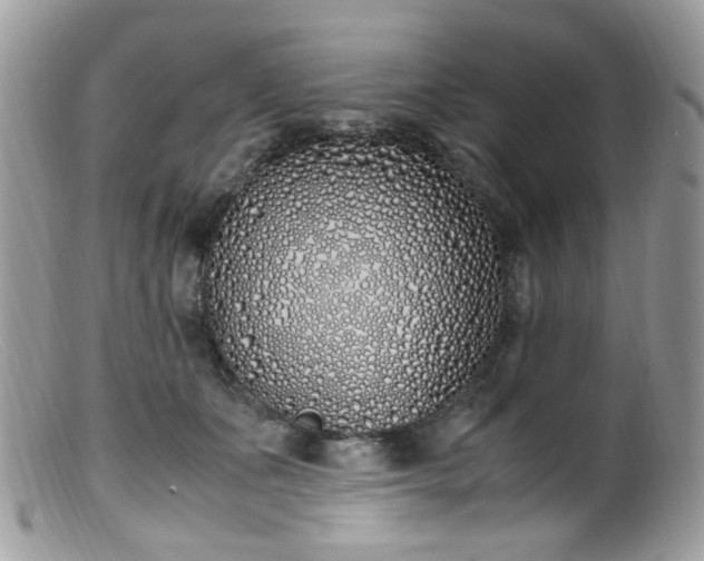 X0000099400511200805151708