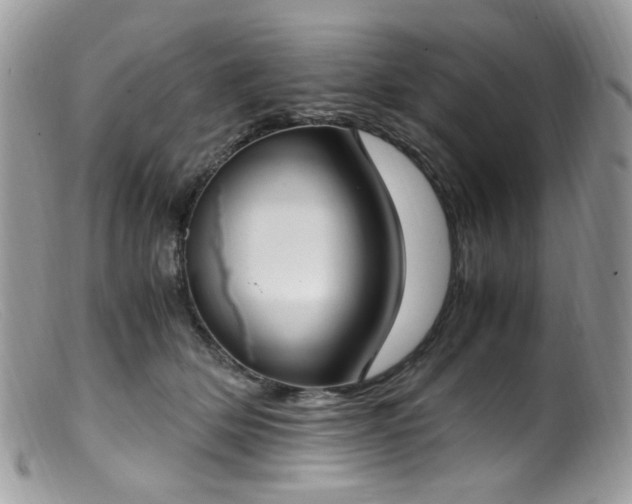 X0000099400514200805151708