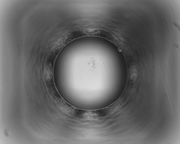 X0000099400515200805151708