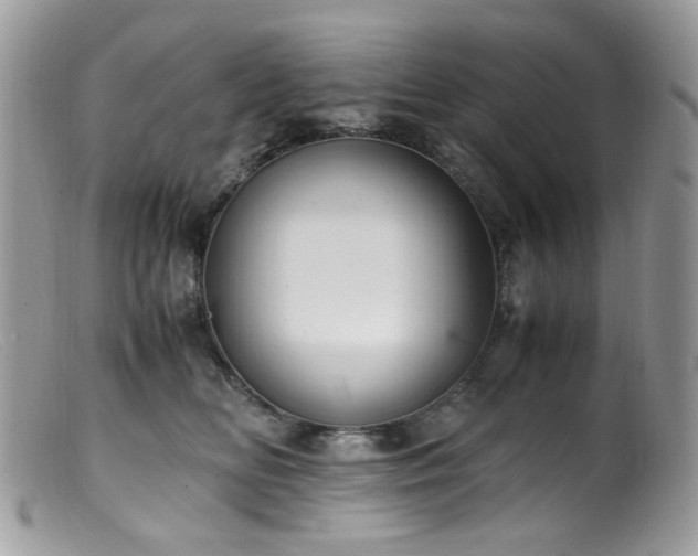 X0000099400518200805151708