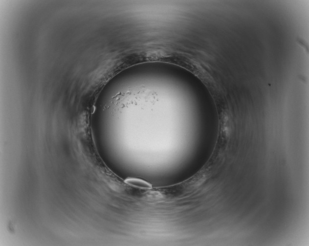 X0000099400519200805151708