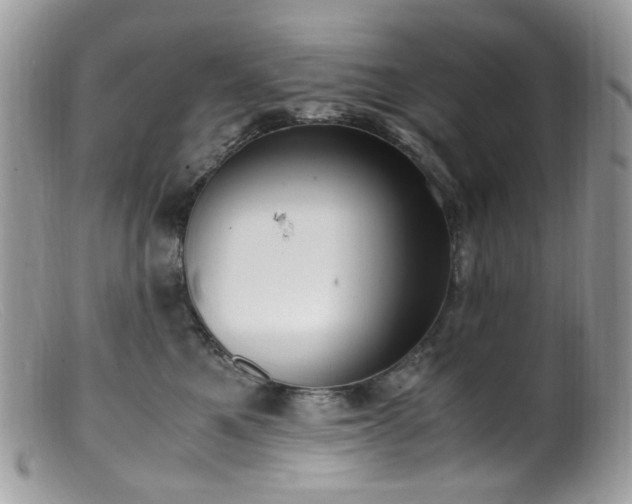 X0000099400521200805151708