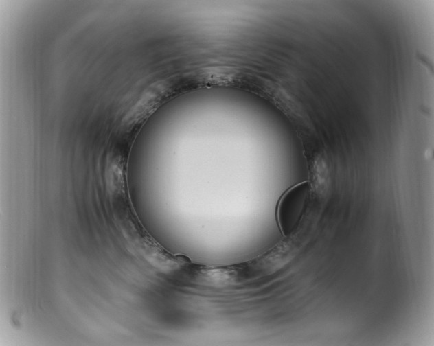 X0000099400522200805151708