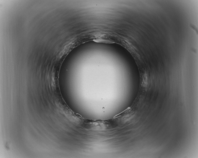 X0000099400524200805151708