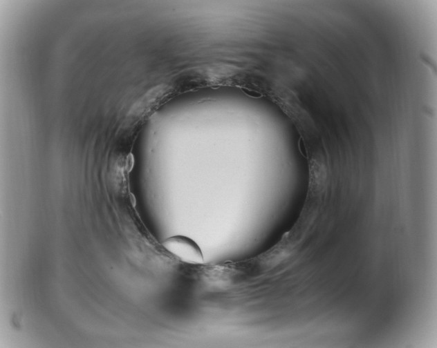 X0000099400527200805151708