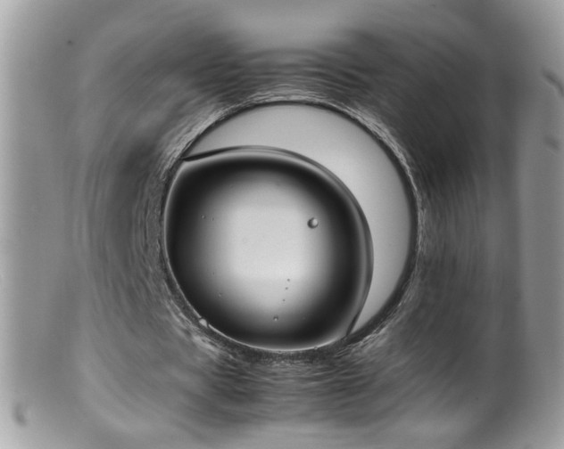 X0000099400529200805151707