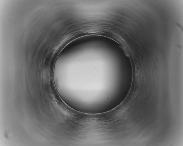 X0000099400530200805151707