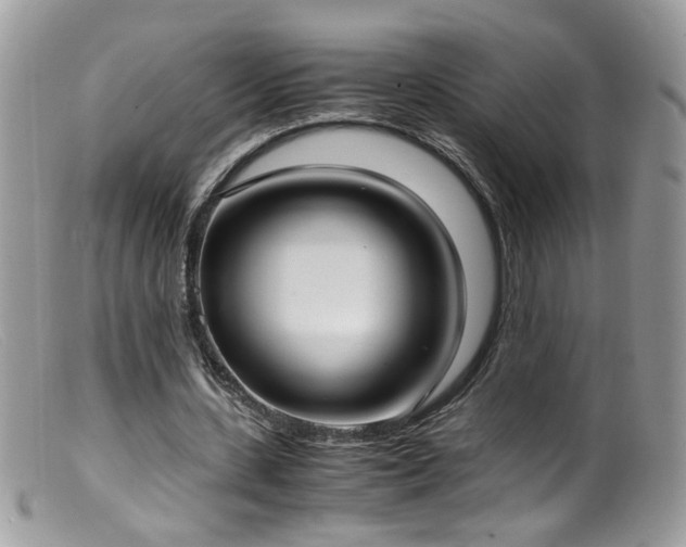 X0000099400531200805151707