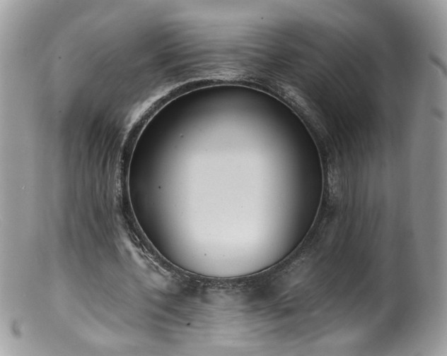 X0000099400532200805151707