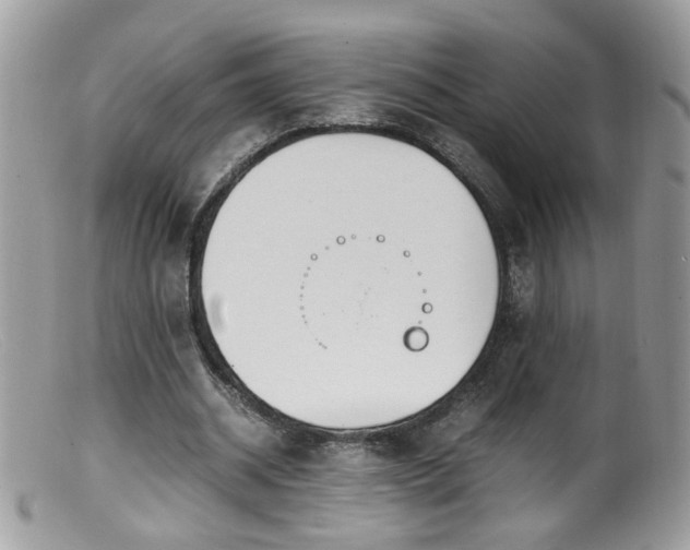 X0000099400534200805151707