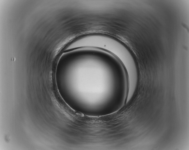 X0000099400535200805151707