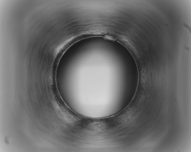 X0000099400536200805151707