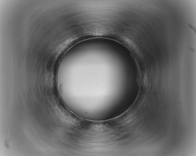 X0000099400540200805151707