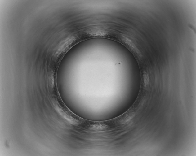 X0000099400541200805151707