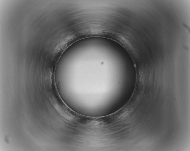 X0000099400542200805151707