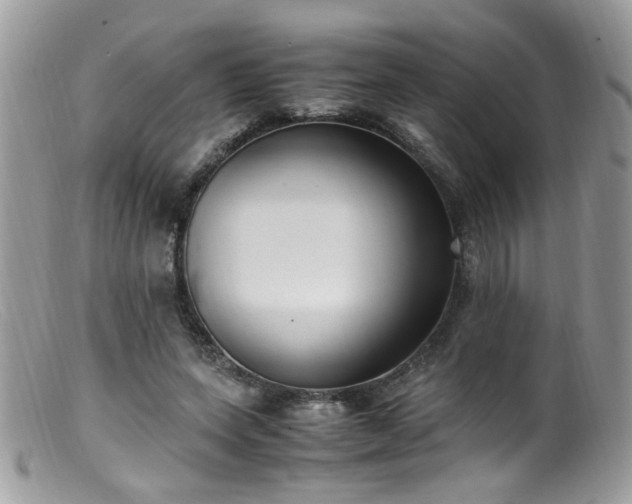 X0000099400543200805151707