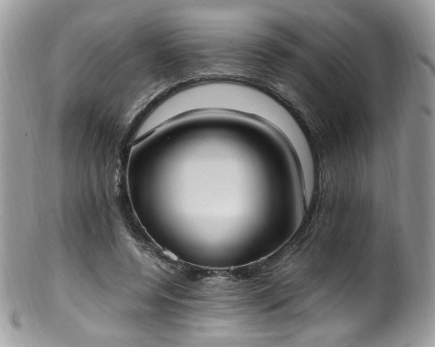 X0000099400544200805151707