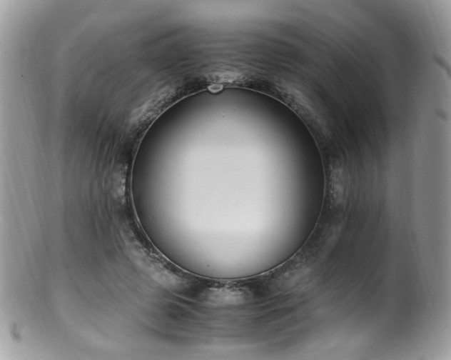 X0000099400545200805151707