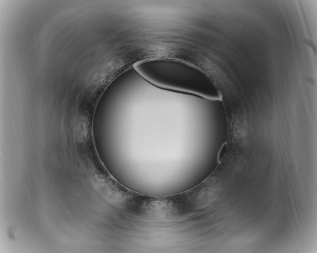 X0000099400546200805151707