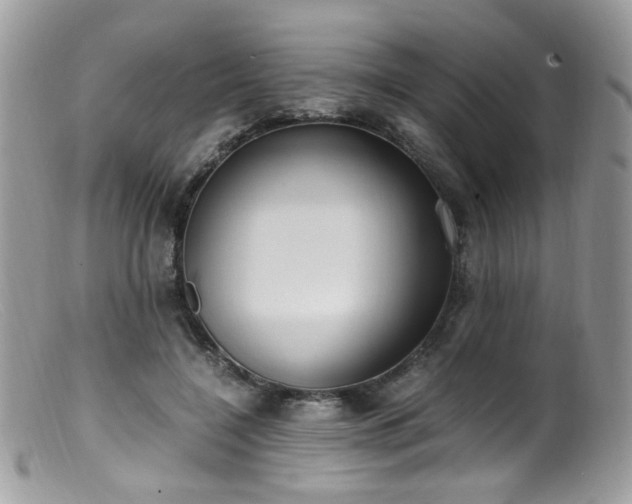 X0000099400548200805151707