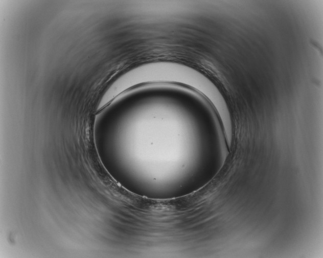 X0000099400549200805151707