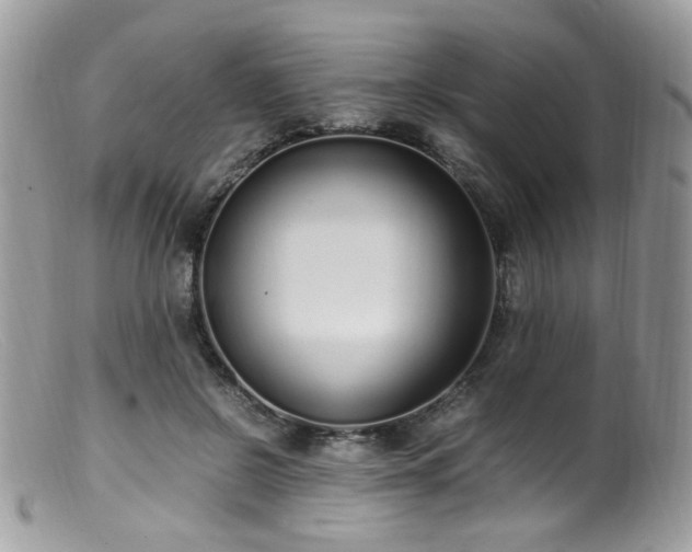 X0000099400550200805151707