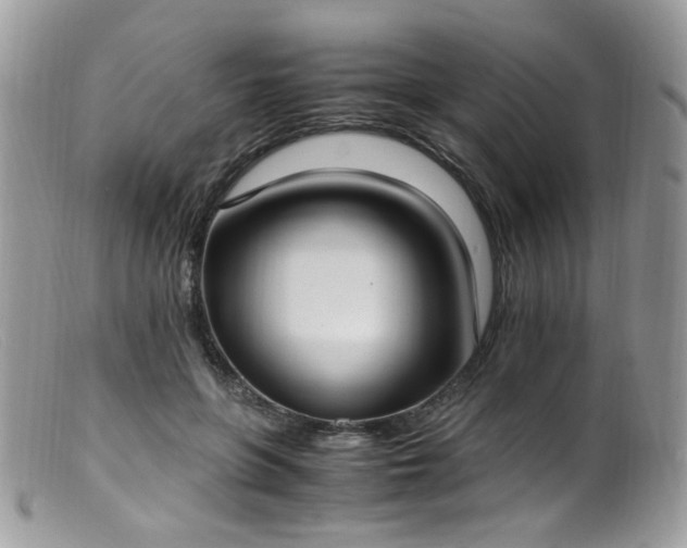 X0000099400551200805151708