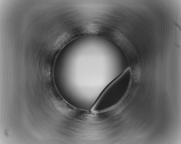 X0000099400552200805151708