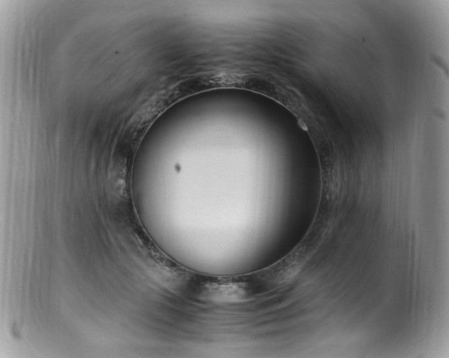 X0000099400553200805151708