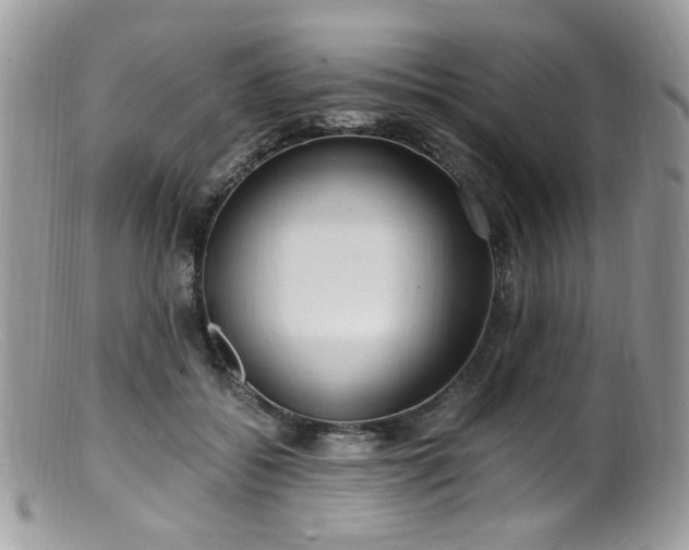 X0000099400556200805151708