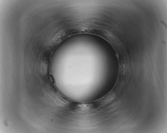 X0000099400558200805151708